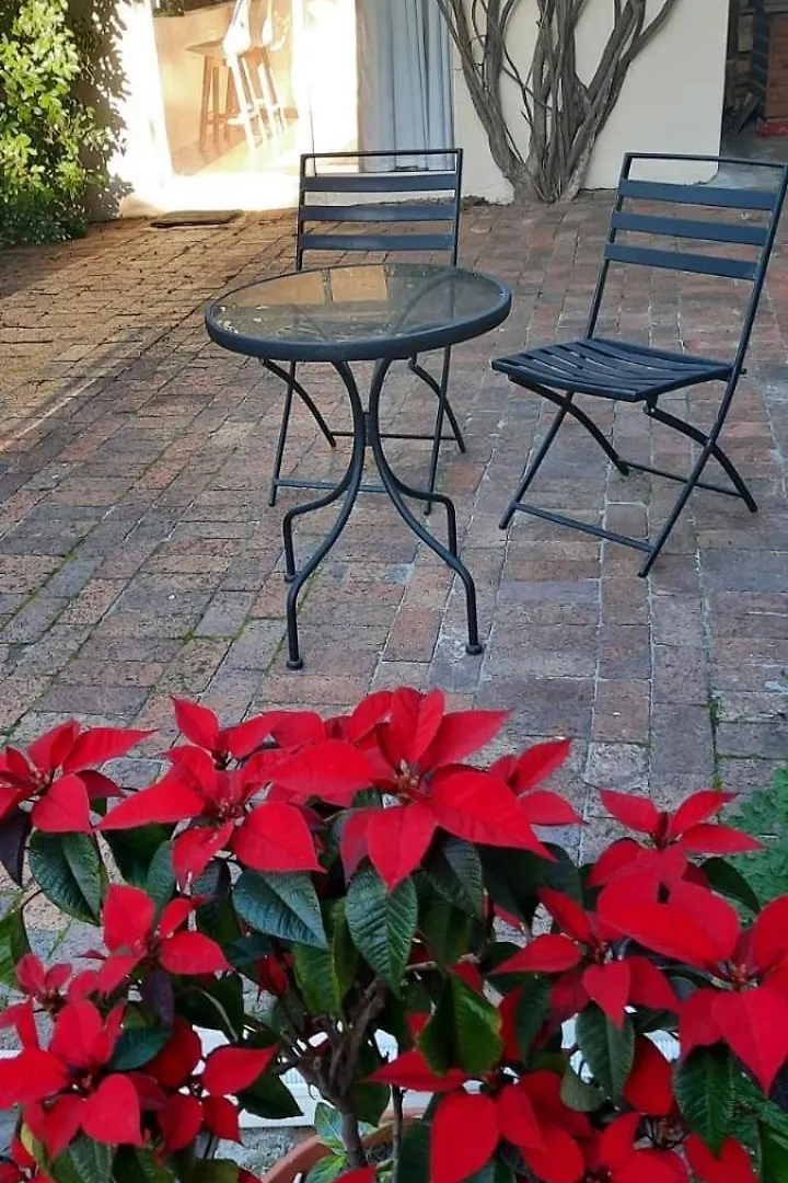 Home On Uitvlugt - Peaceful Leafy Garden Flat With Sunny Lounge Cape Town 0*,  Güney Afrika