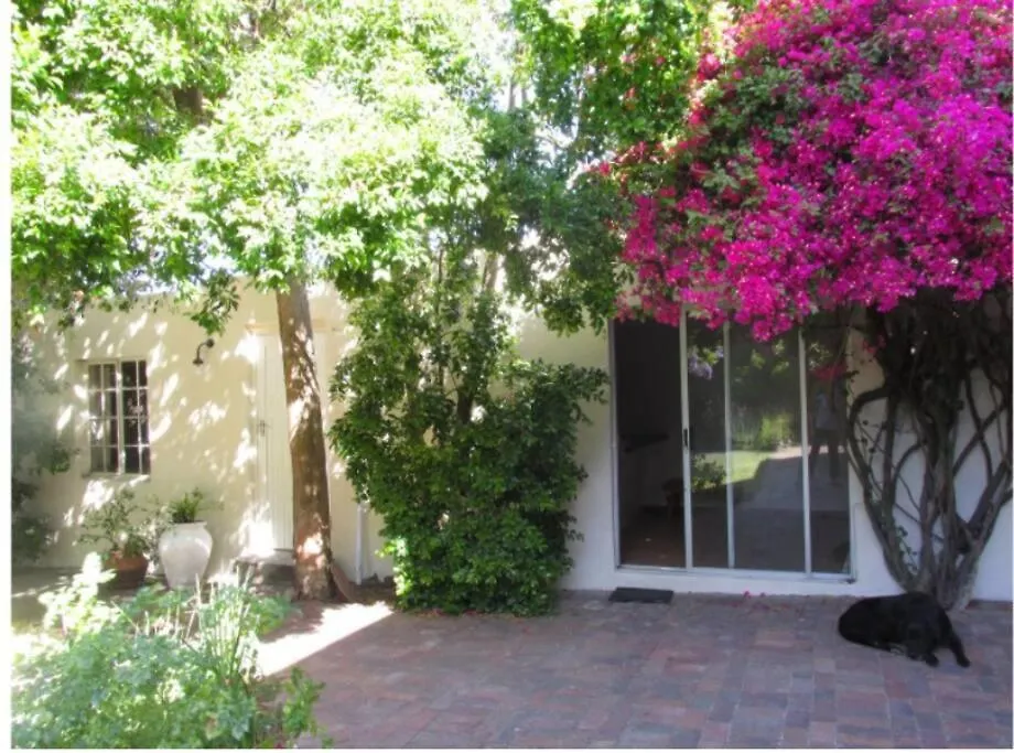 Home On Uitvlugt - Peaceful Leafy Garden Flat With Sunny Lounge Cape Town Apartment